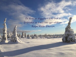 Bilde blogginnlegg 11