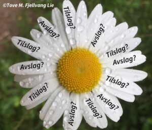 Facebookblomst avslag tilslag